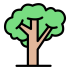 trees trees